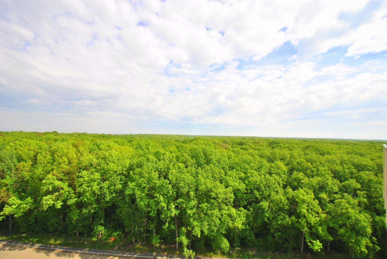 Foresthouse 1 ティミショアラ エクステリア 写真